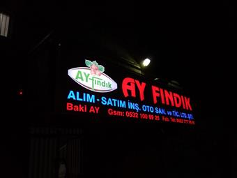 AY FINDIK