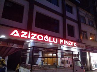 AZİZOĞLU FINDIK