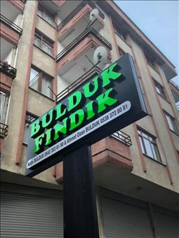 BULDUK FINDIK