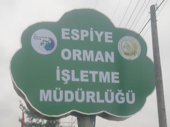 ESPİYE ORMAN