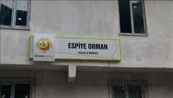 ESPİYE ORMAN