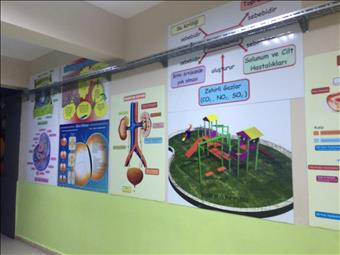 GEDİKKAYA ORTAOKULU