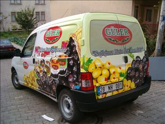 GÜLER ZEYTİN