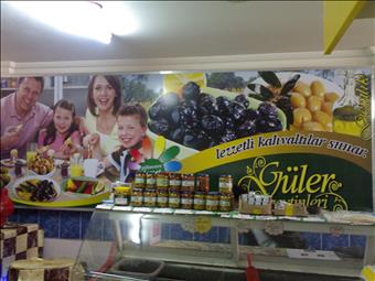 GÜLER ZEYTİN