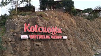 KOLCUOĞLU