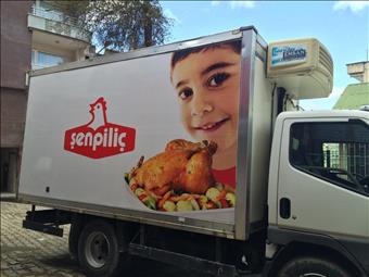 ŞEN PİLİÇ